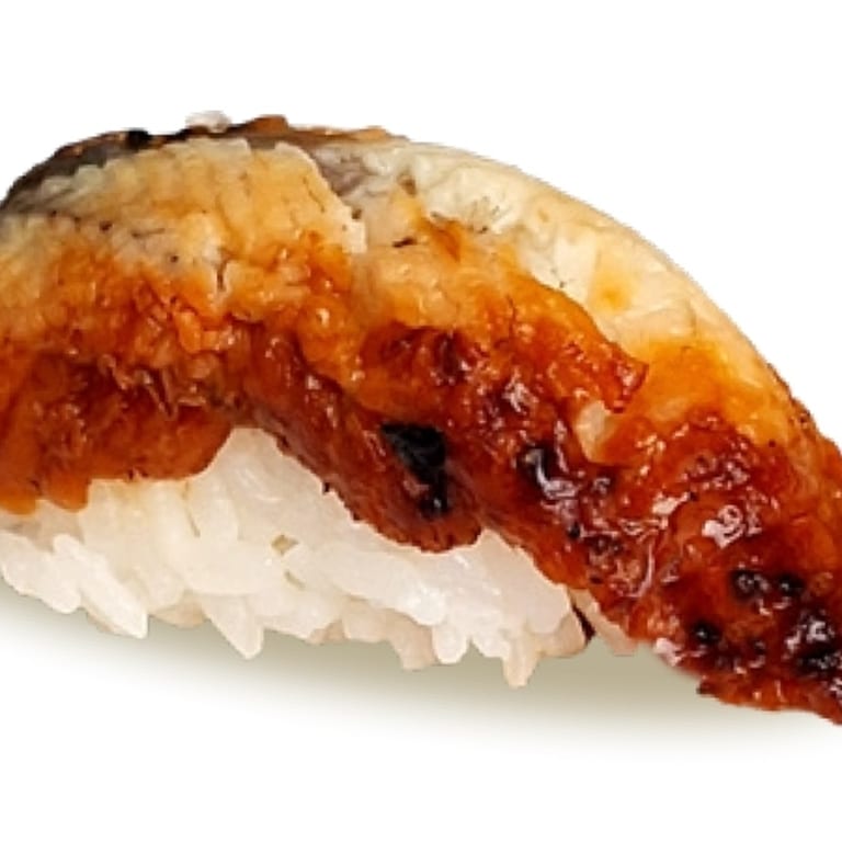 Unagi Delights: Sushi, Teriyaki, and More