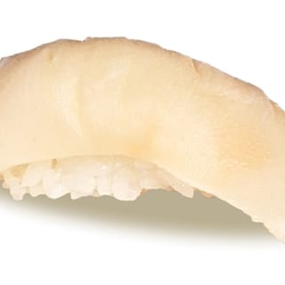 Conch