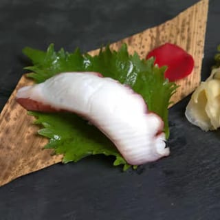 Octopus