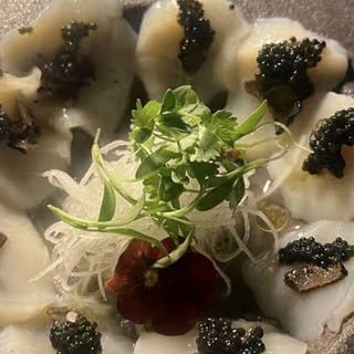 Scallop
